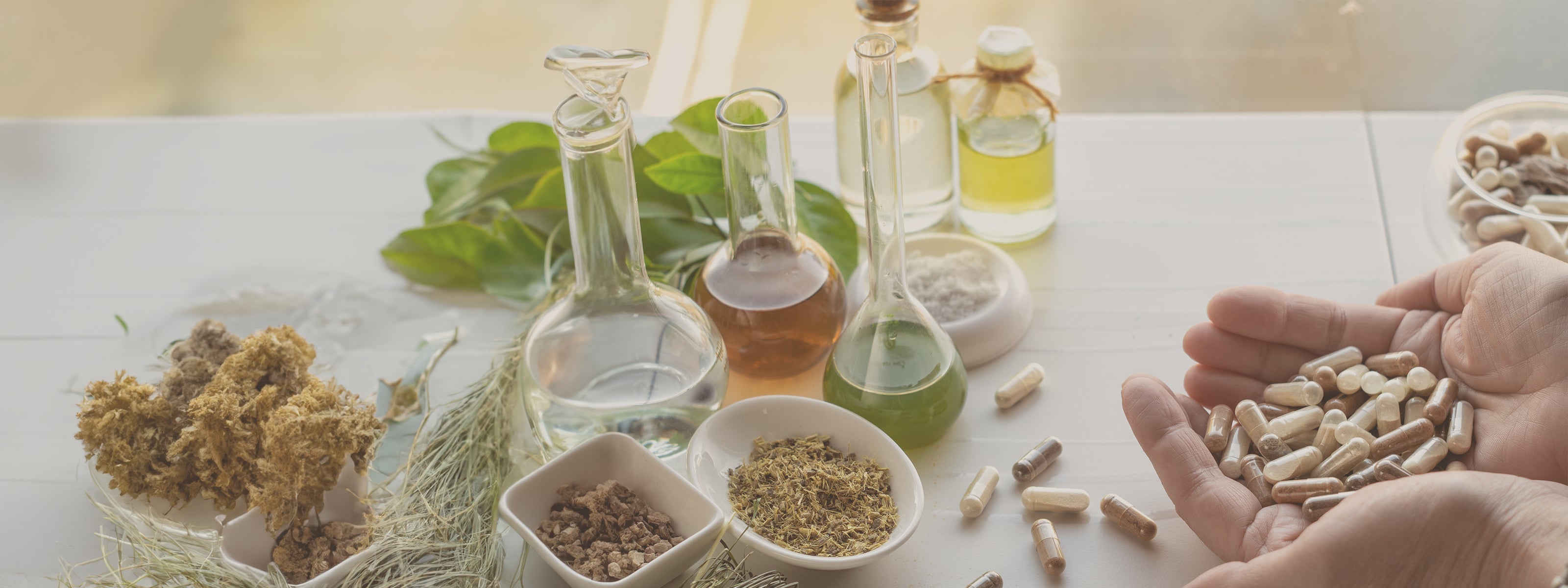 RIMEDI NATURALI PER IL FEGATO