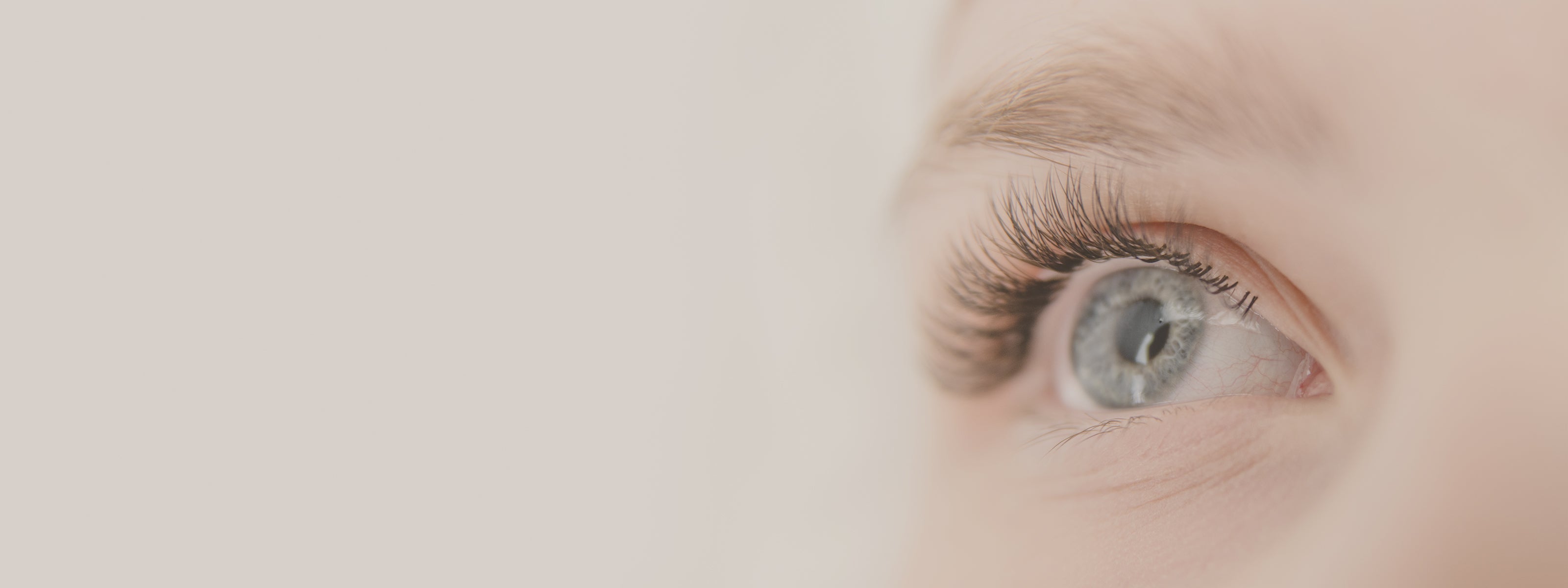 BORSE, OCCHIAIE E RUGHE