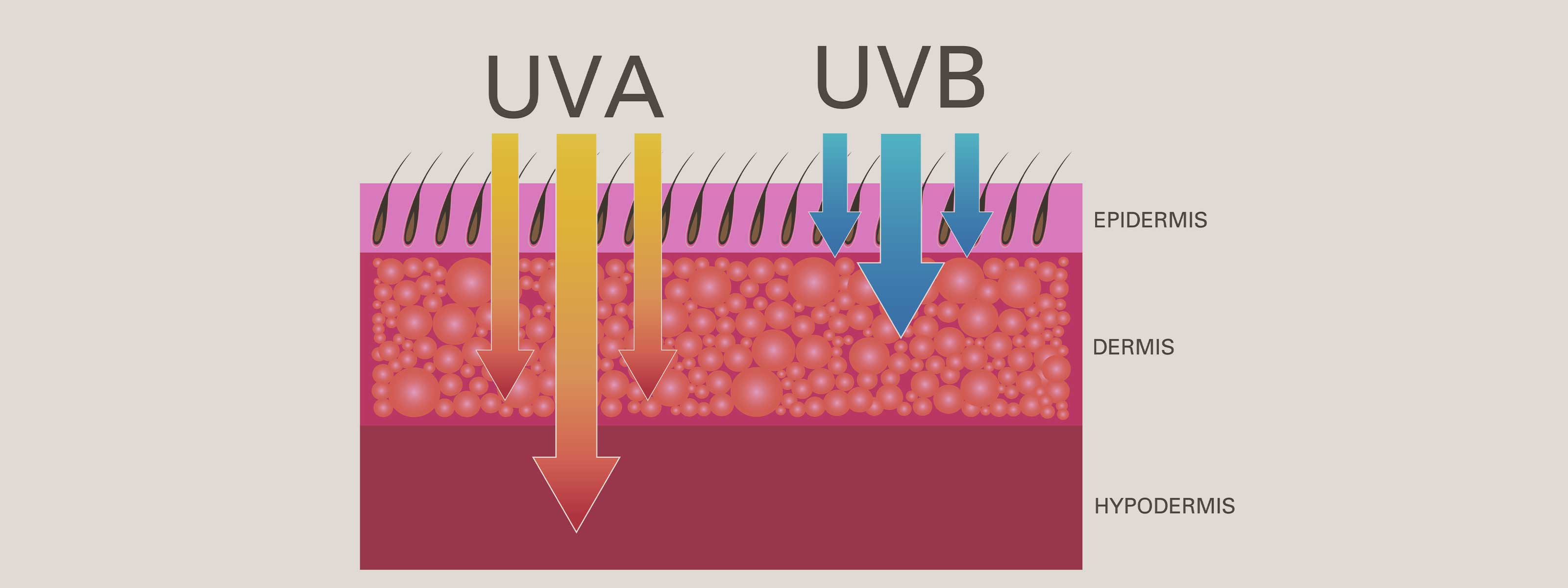 DIFFERENZA TRA RAGGI UVA E UVB