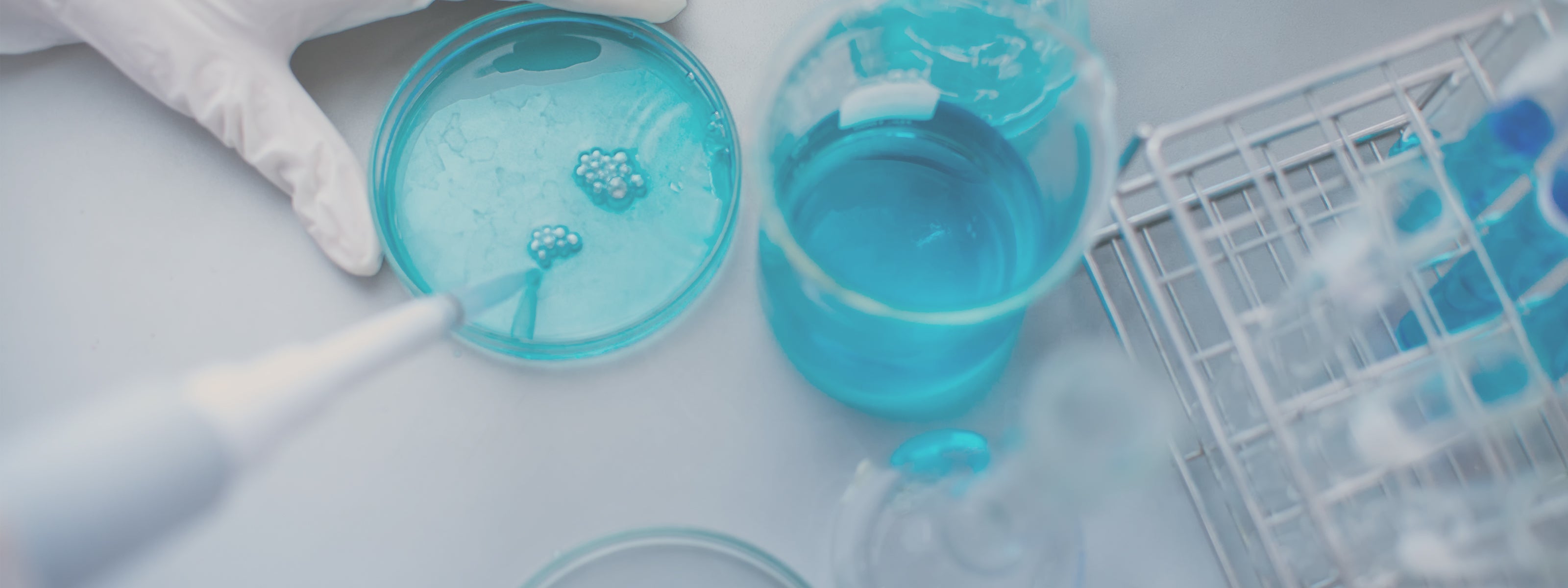 CHALLENGE TEST NEI COSMETICI