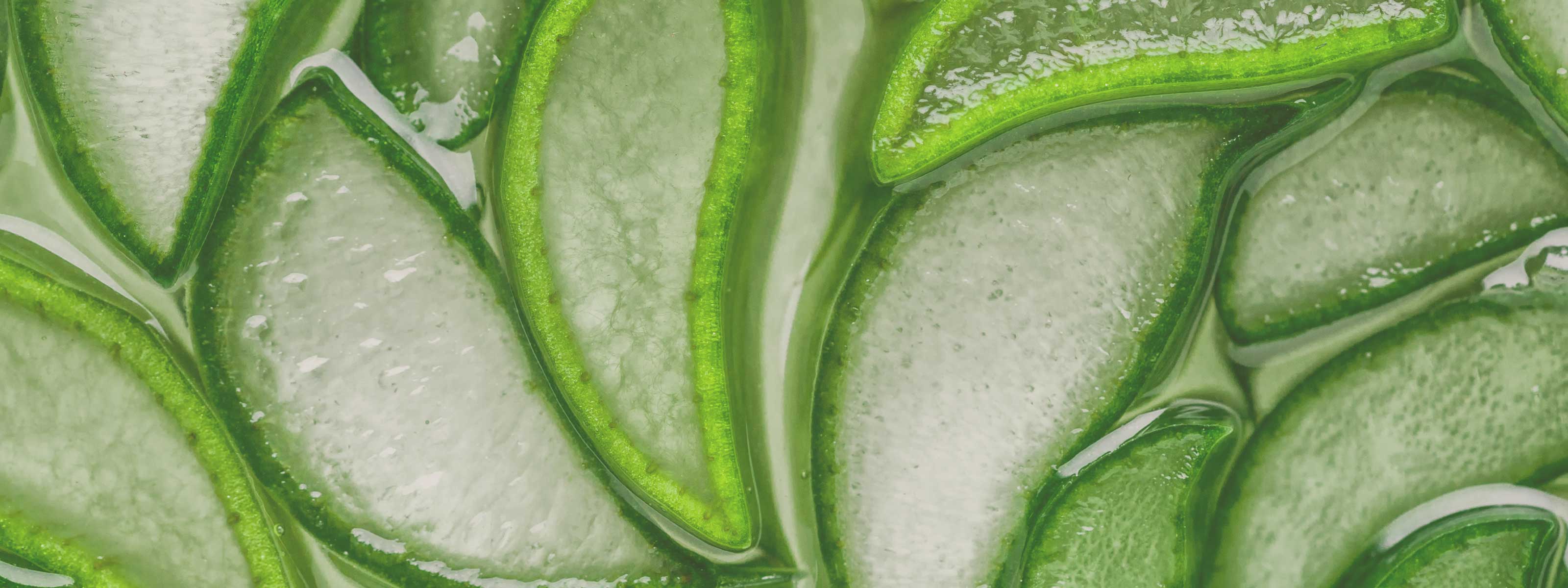 COSMESI E INTEGRATORI VEGAN: PERCHÉ LA TRASPARENZA DELLE CERTIFICAZIONI FA LA DIFFERENZA 