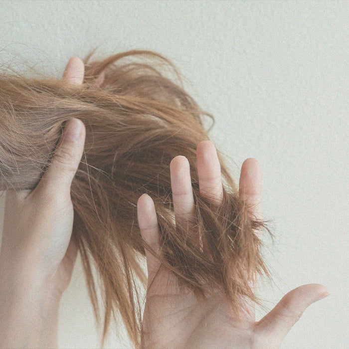 Capelli sfibrati